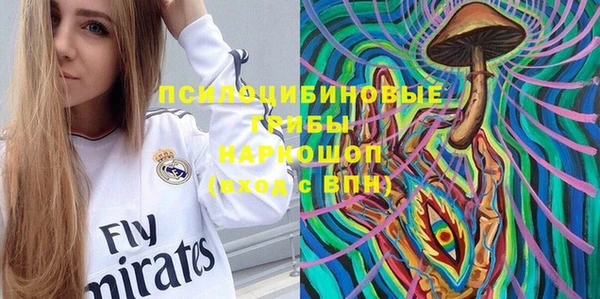 твердый Алексеевка