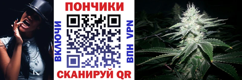 Бошки марихуана гибрид Шелехов