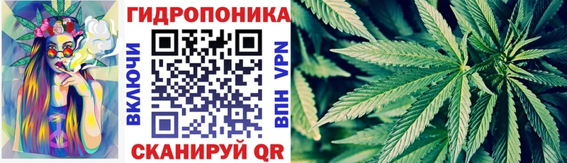 Конопля Amnesia  МЕГА tor  Шелехов 